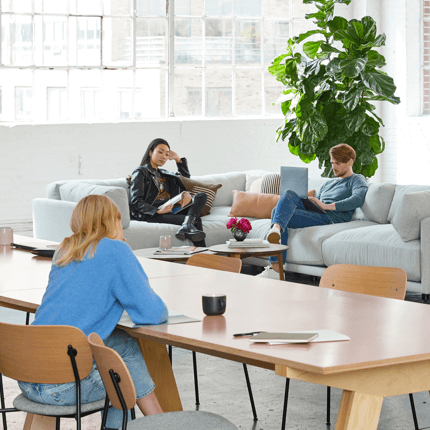 our services pic 1.png